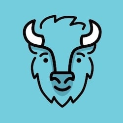 BISON