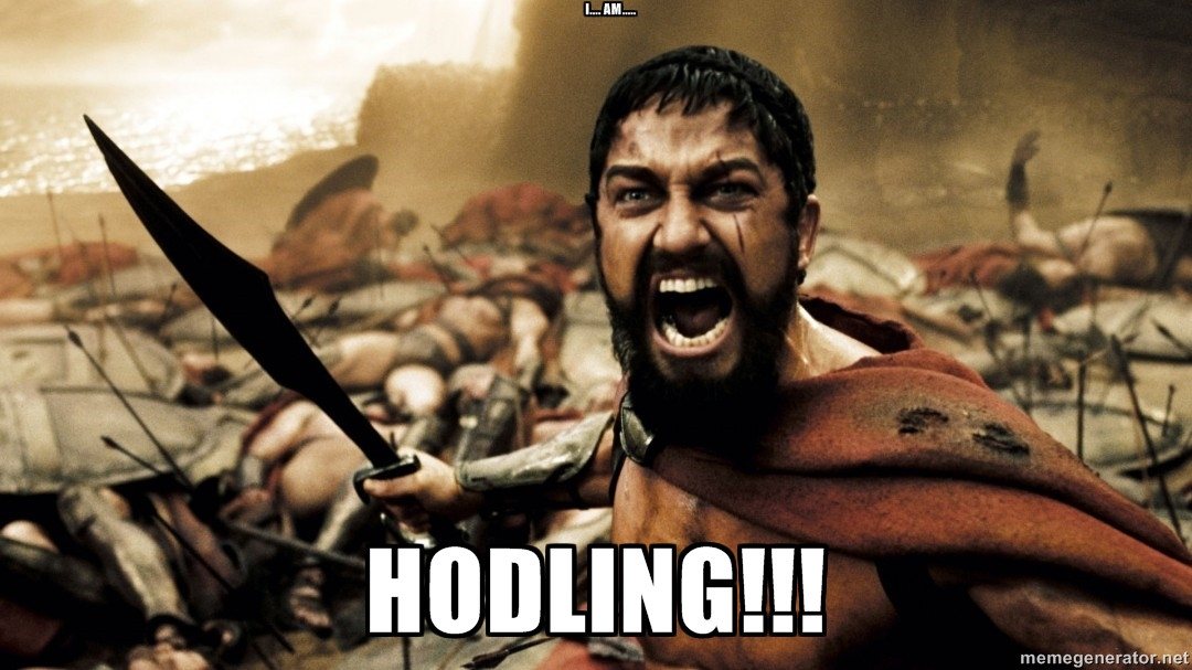 hodl meme