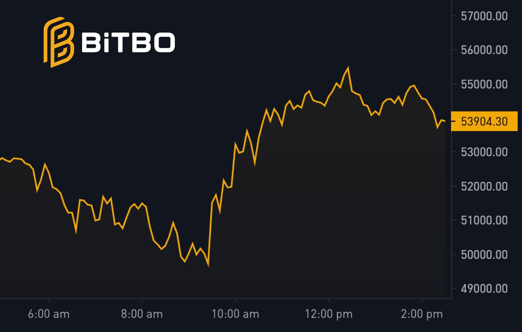 Bitcoin Rebounds 10% to $55,000 Amid Market Stabilization