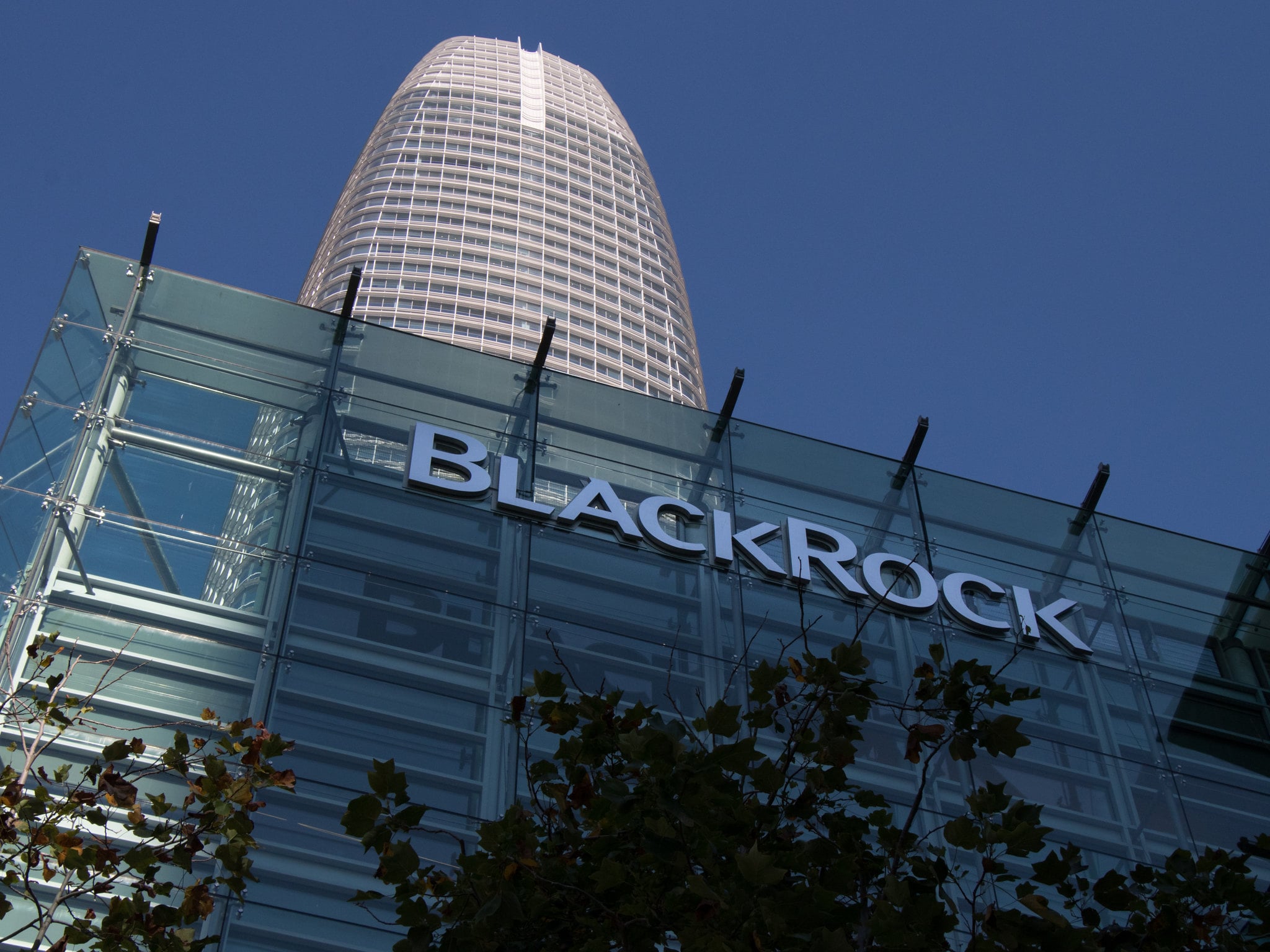 BlackRock Launches Bitcoin Video, Signals Greater Adoption