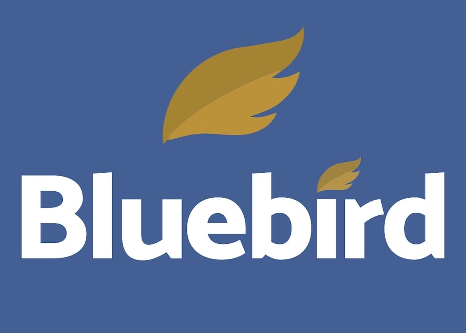 Bluebird Mining Shifts to Bitcoin, Stock Jumps 60%