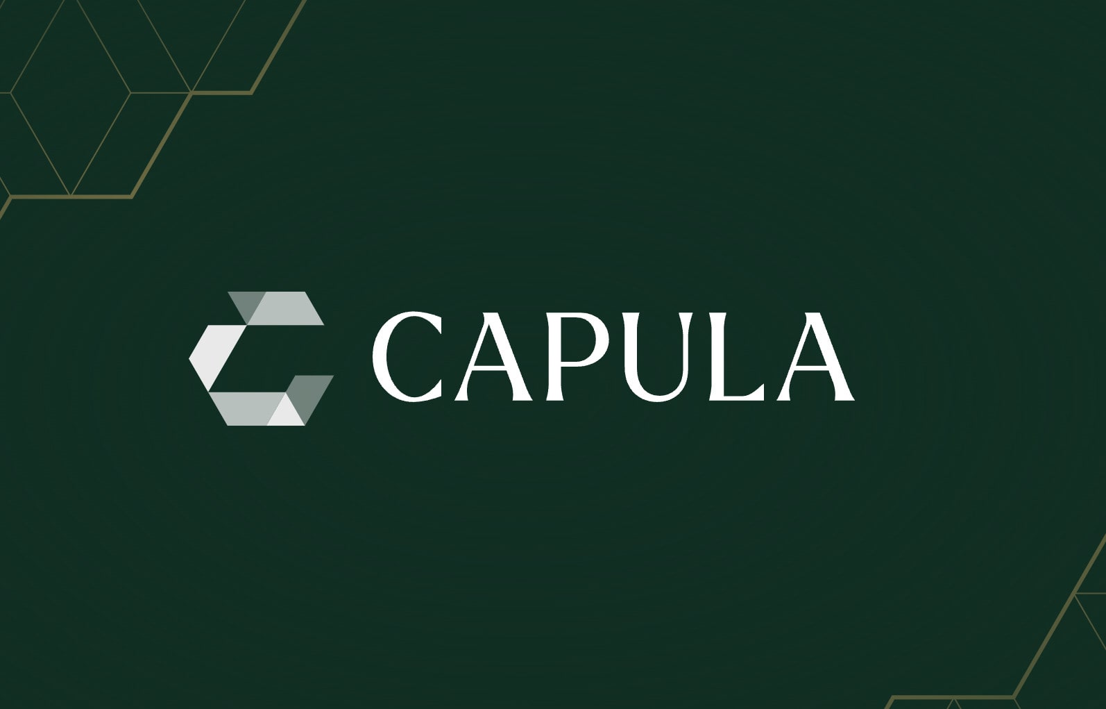 Capula Management Invests $500M in Bitcoin ETFs