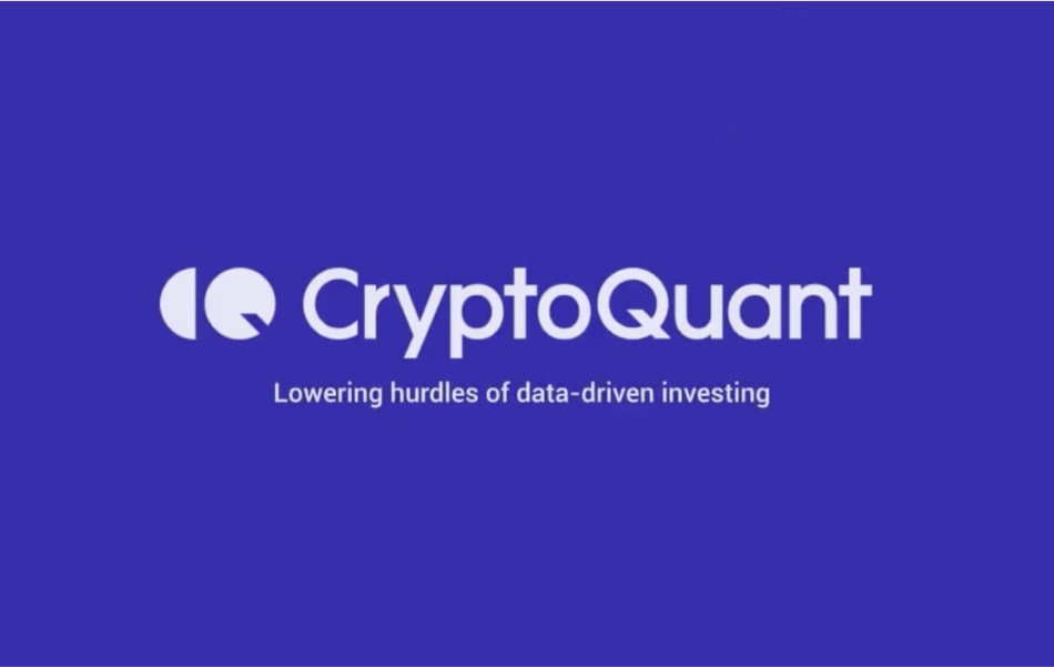 CryptoQuant CEO Predicts Longest Bitcoin Bull Market Yet