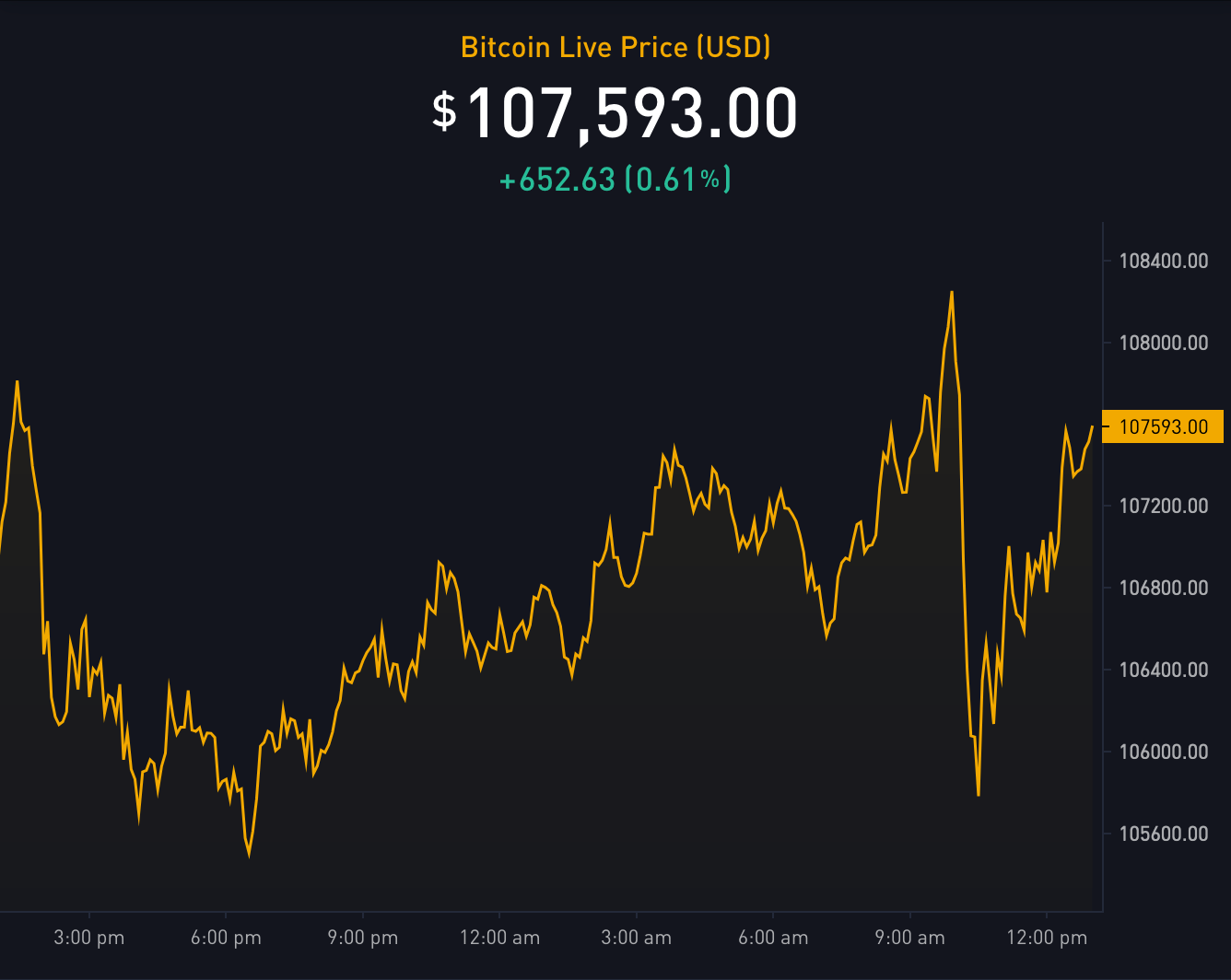 Arthur Hayes Predicts Bitcoin Sell-Off Amid Trump's Inauguration