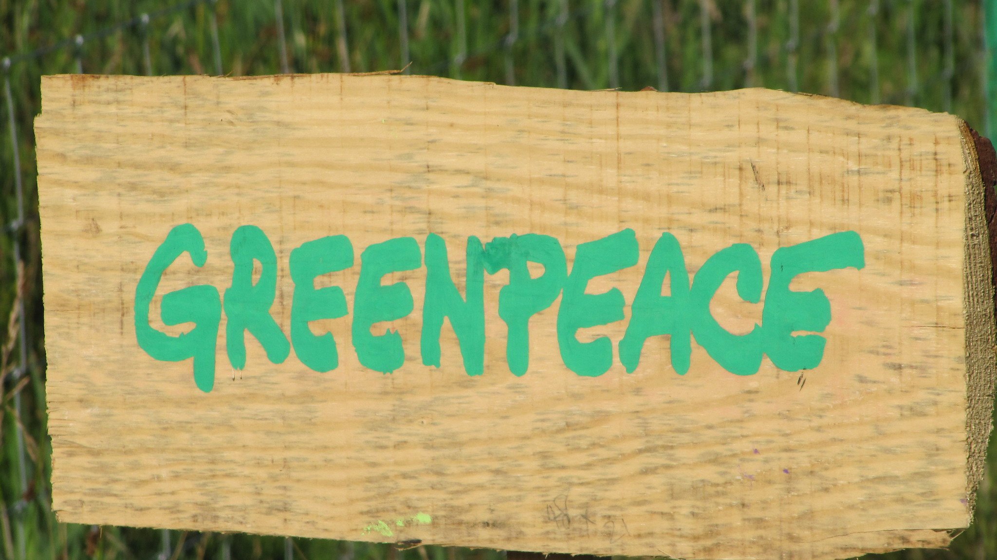 Greenpeace's Bitcoin Energy Report Faces Criticism