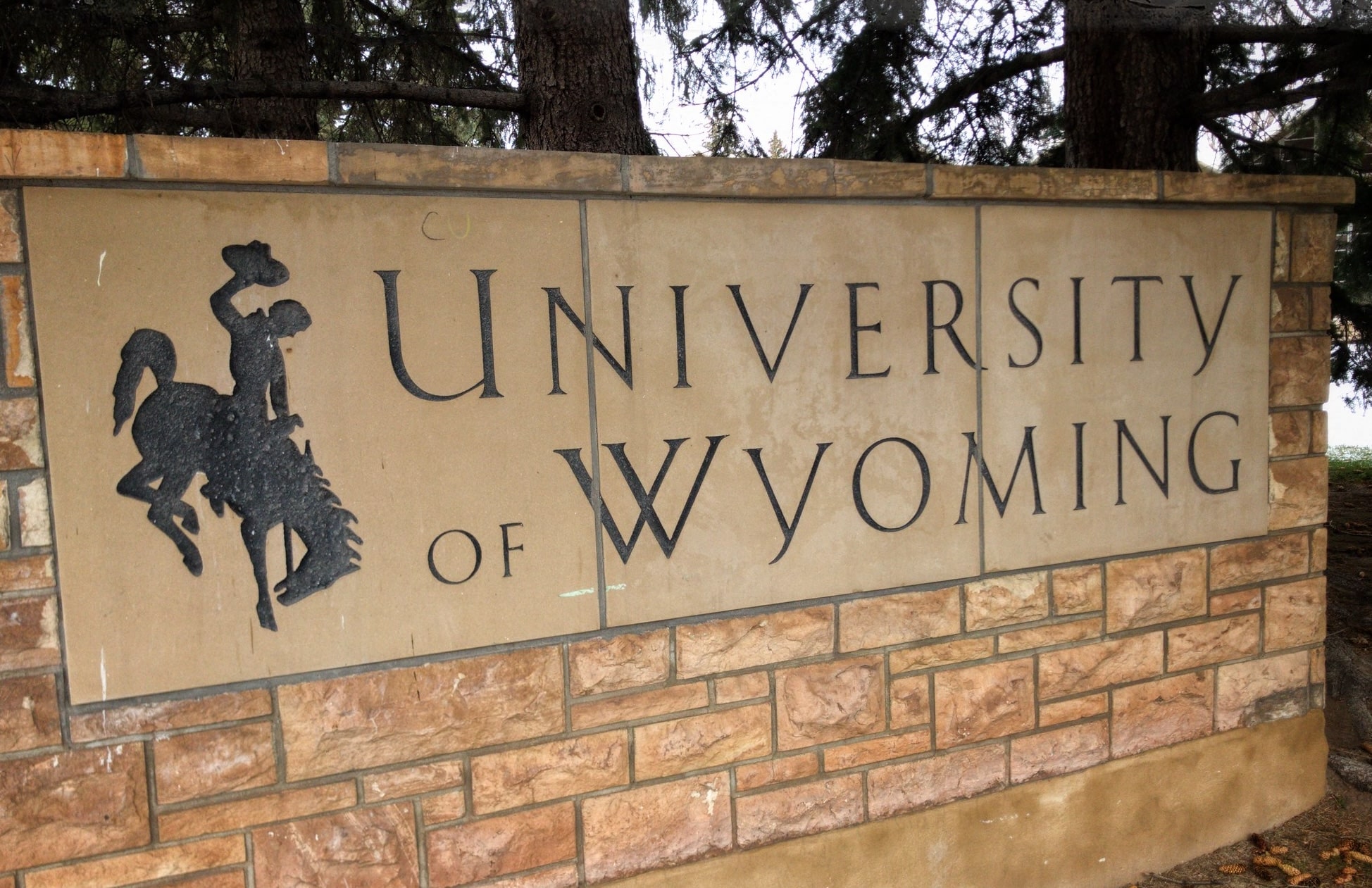 University of Wyoming Opens First Bitcoin Research Institute