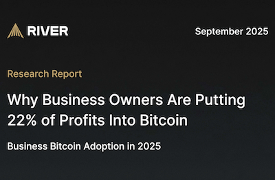 Personal Corporations Allocate 22% of Earnings to Bitcoin in 2025 – Bitbo
