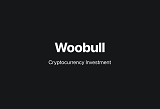 Willy Woo: Bitcoin Is 'Perfect Asset,' But Needs More Flows